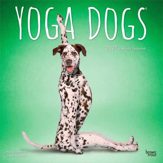 BrownTrout; Yoga Dogs OFFICIAL | 2027 12 x 24 Inch (Hanging) Monthly Square Wall Calendar | Plastic-Free; Category:Wall Calendars; Image:1
